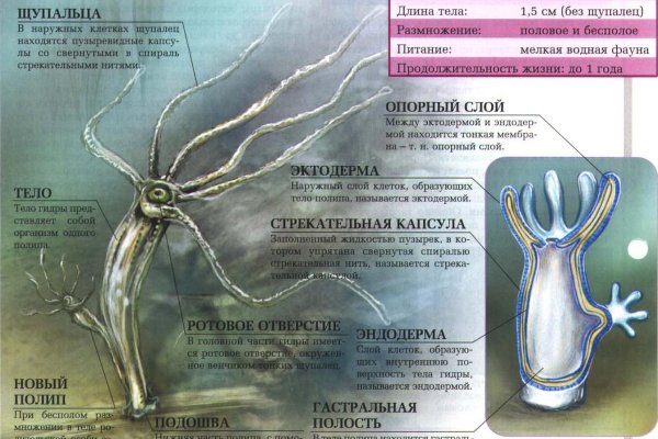 Кракен сайт vtor run