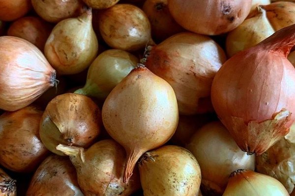 Кракен сайт купить наркотики