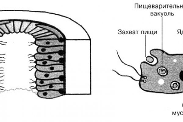 Кракен личный кабинет