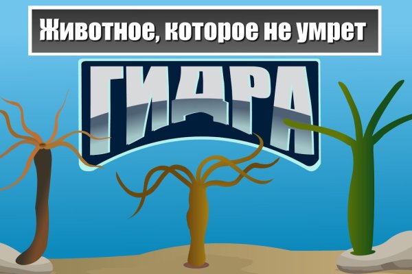 Кракен маркетплейс официальный сайт